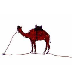 camel