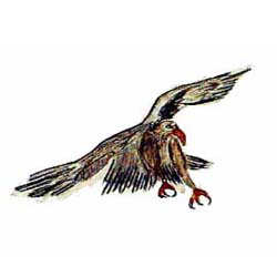 eagle